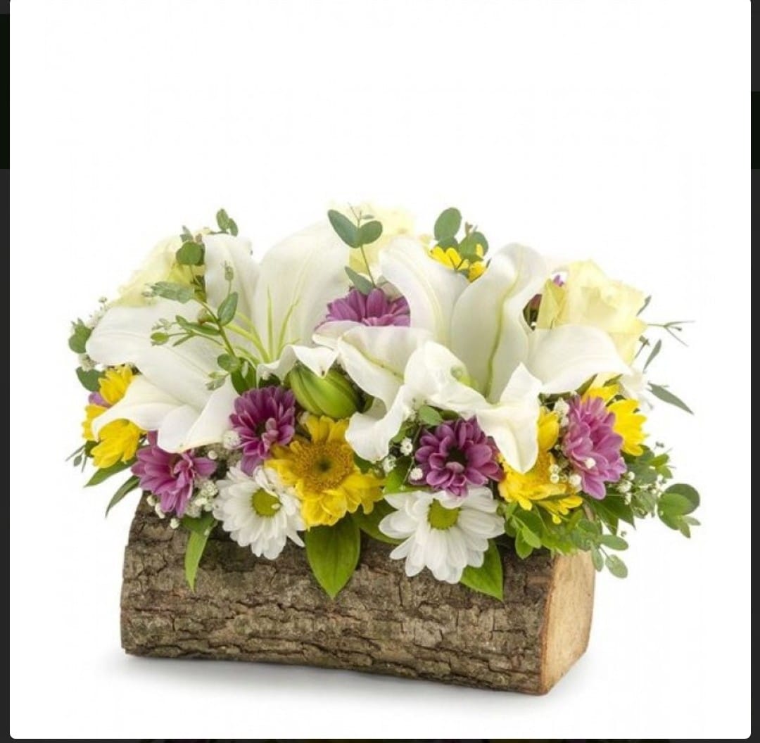 Kütükte Lilyum Papatya Arajman